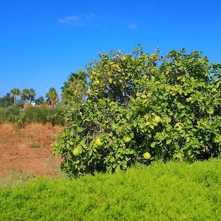 Vila Stavriella Lachi