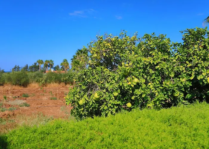 Vila Stavriella Lachi